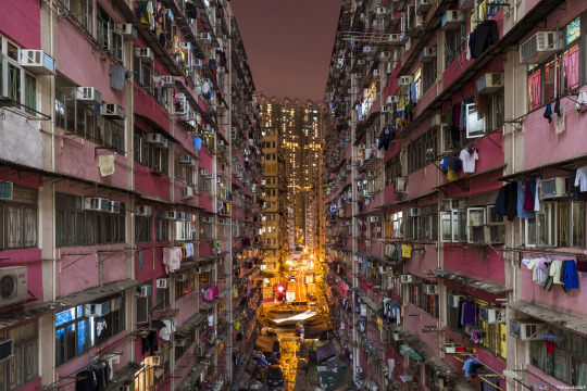 Michael Philip Atkins Hong Kong